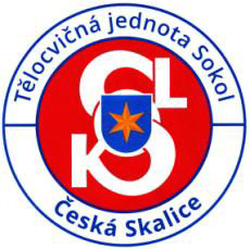 logo sokol česká skalice